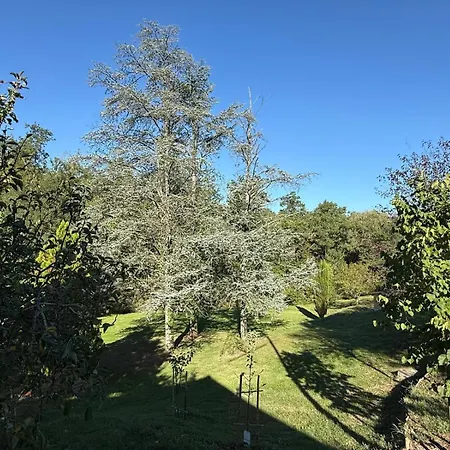 The Relax Barn San Casciano in Val di Pesa