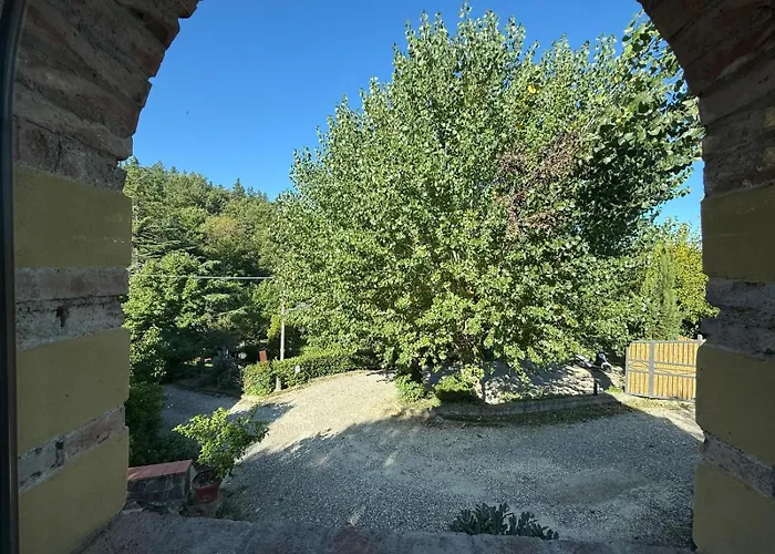 The Relax Barn *